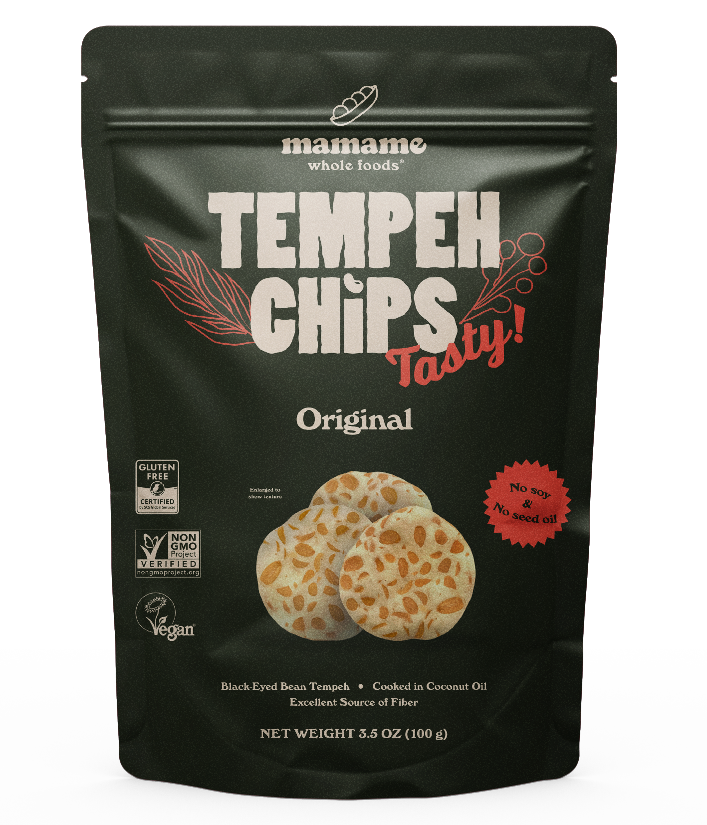 Tempeh Chips