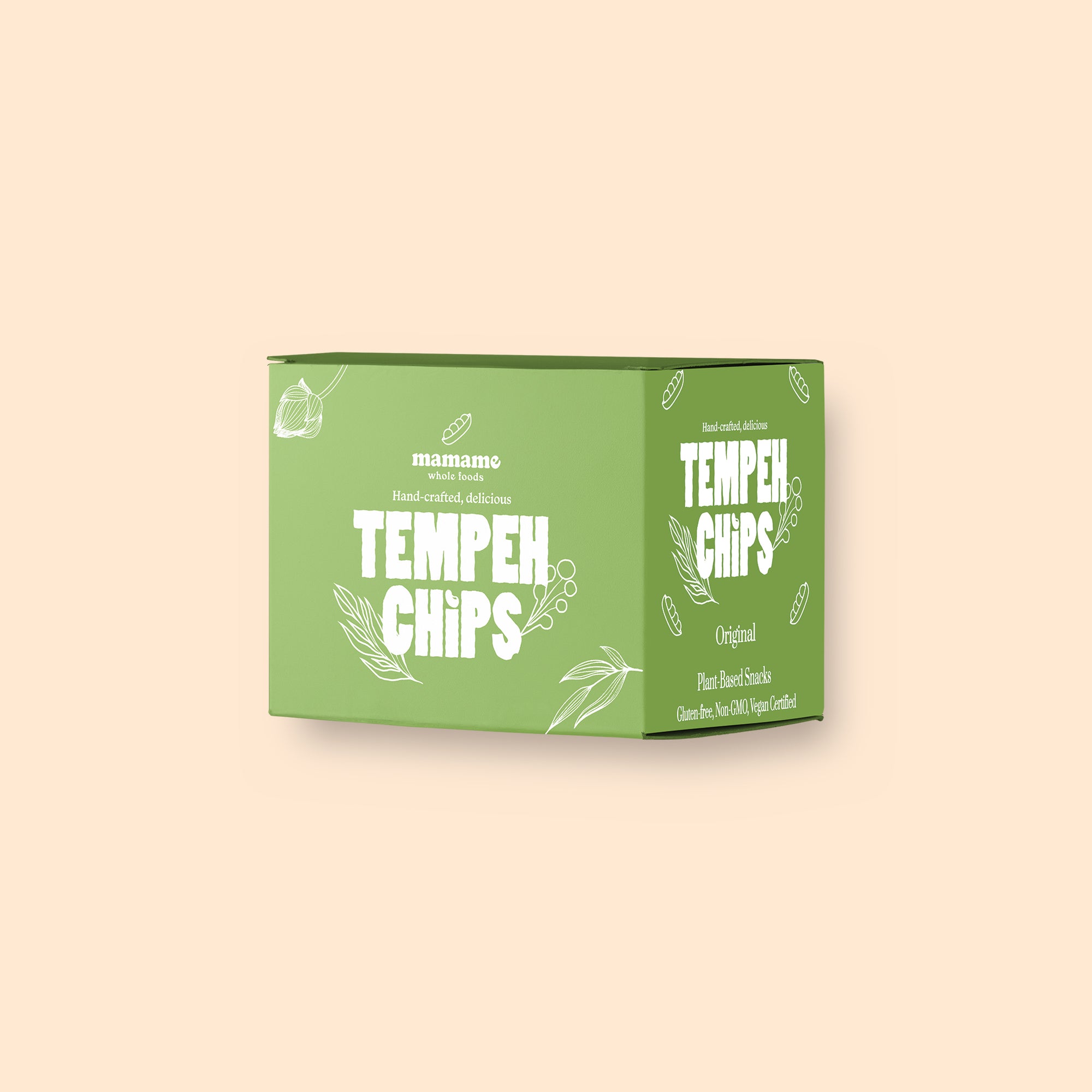 Tempeh Chips Original- 12 Bags