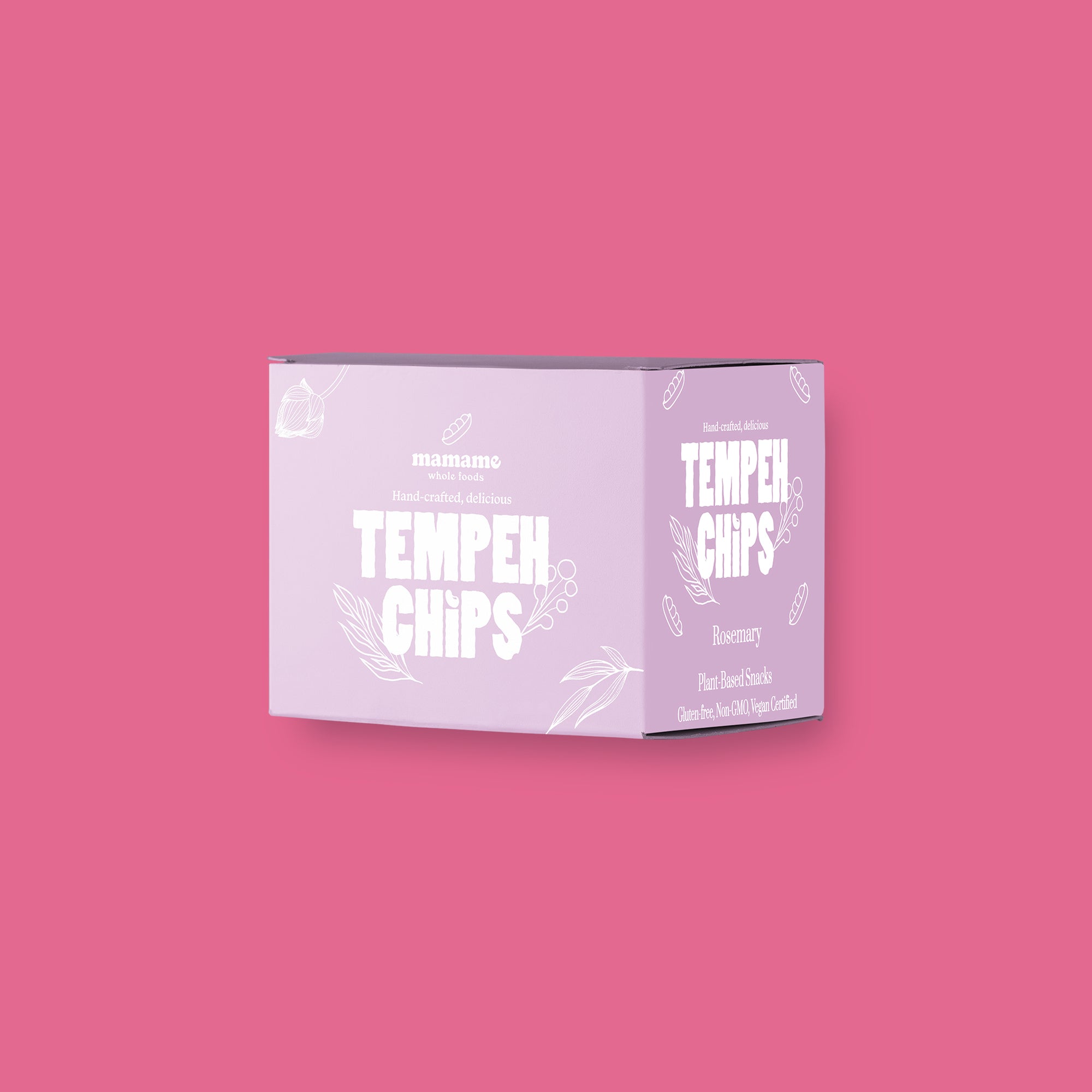 Tempeh Chips Rosemary- 12 Bags