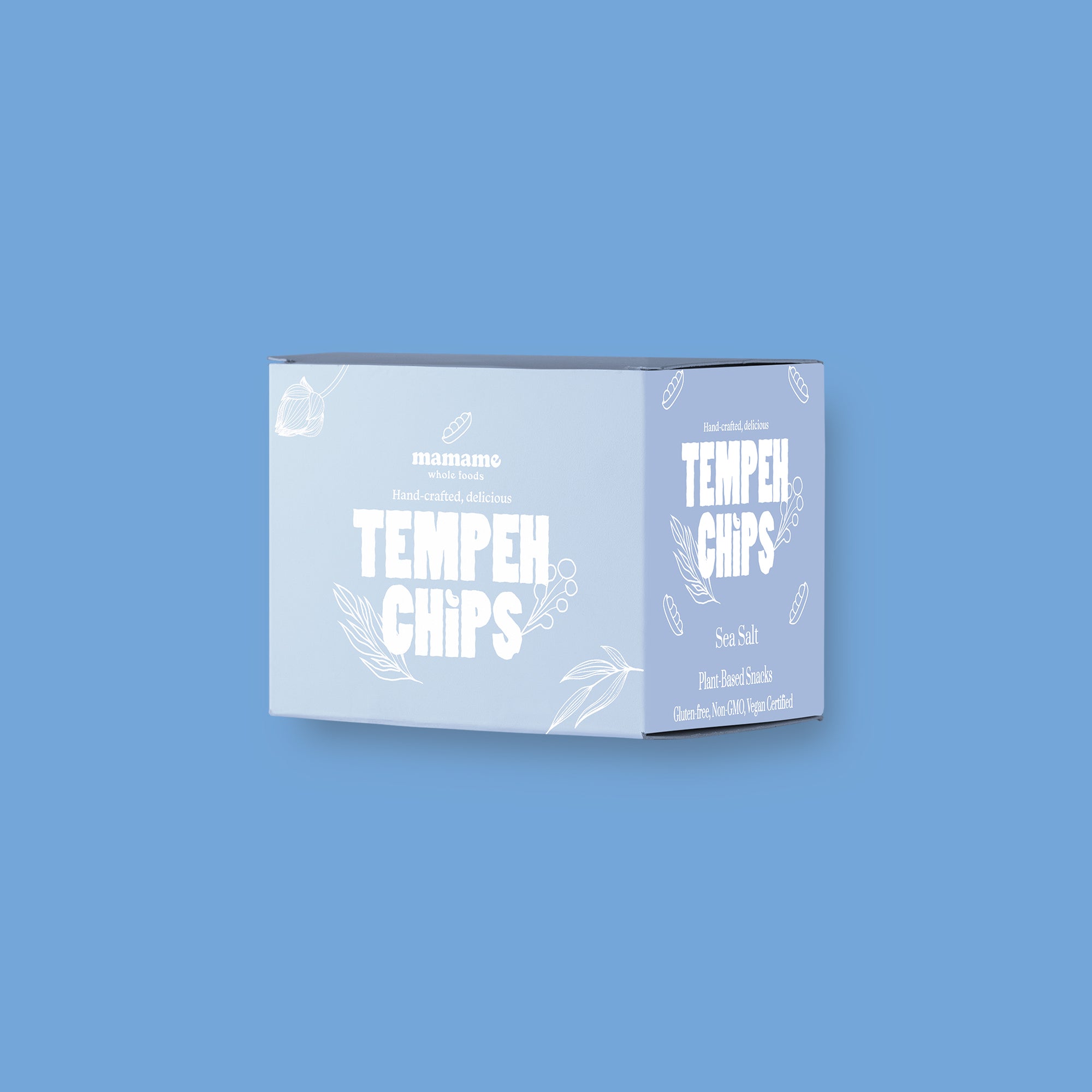 Tempeh Chips Sea Salt - 12 Bags