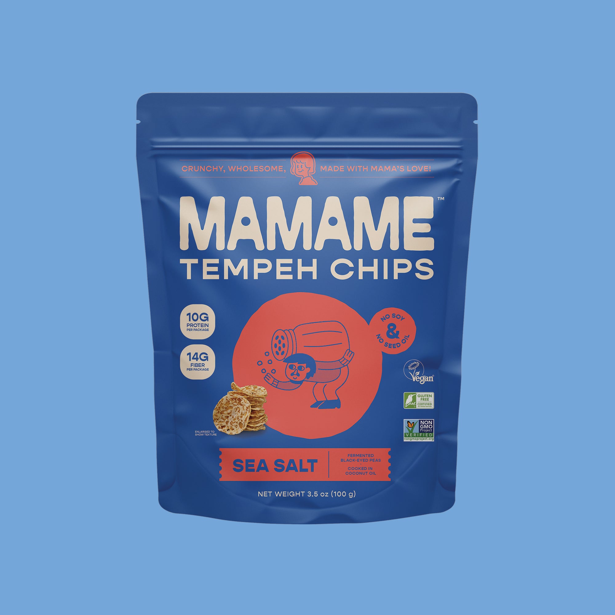 Tempeh Chips Sea Salt - 12 Bags