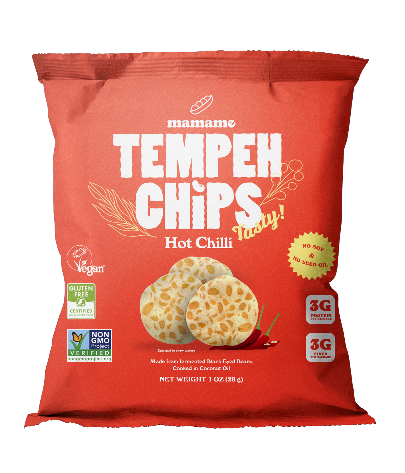 Tempeh Chips