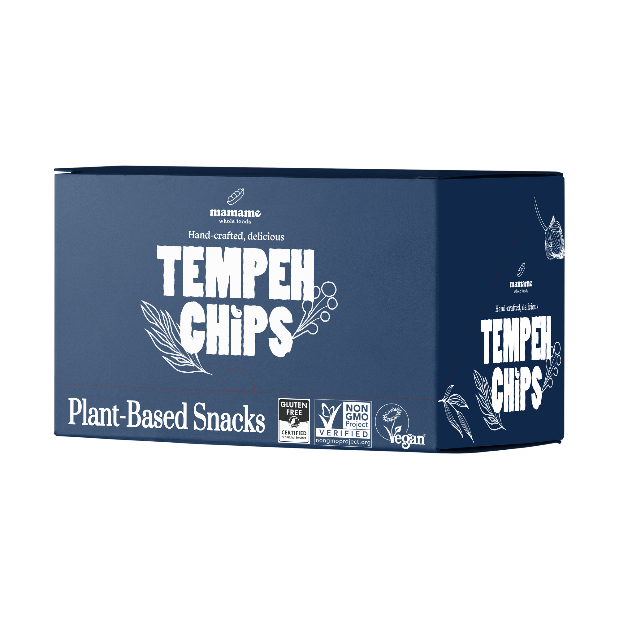 Tempeh Chips 100g Bundle of 6
