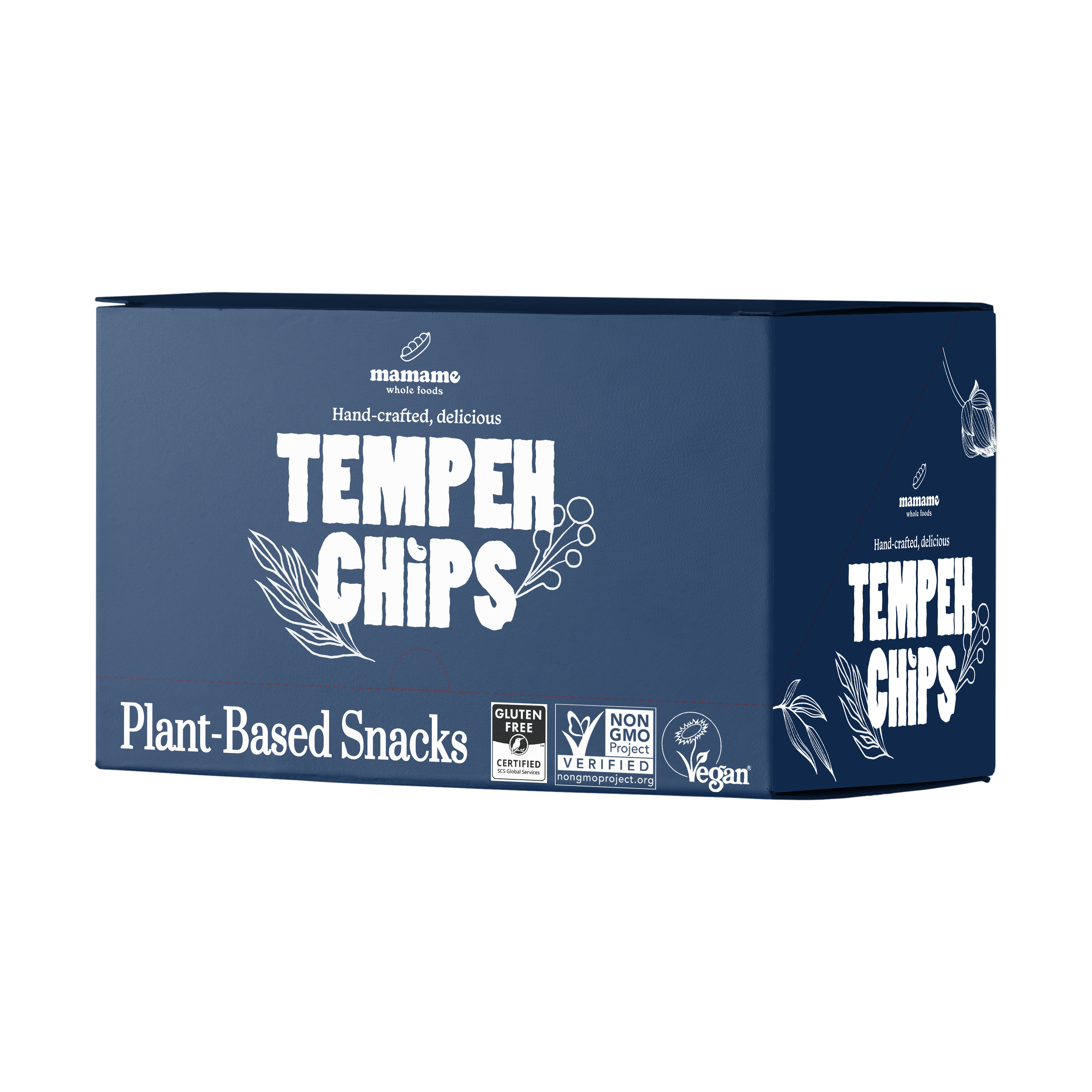 Tempeh Chips 50g Bundle of 12