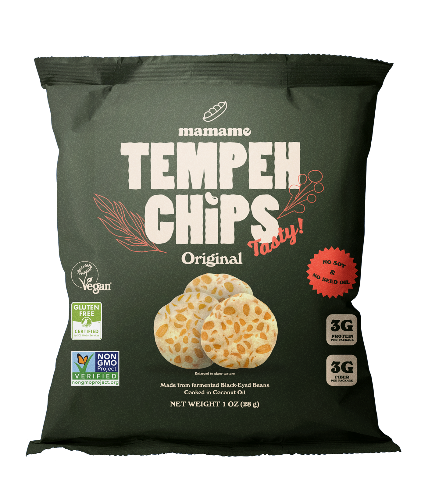 Tempeh Chips