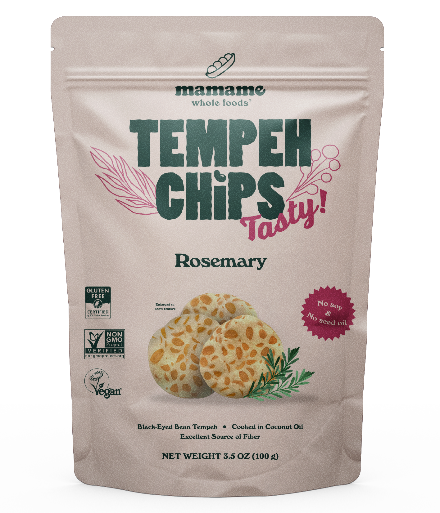 Tempeh Chips