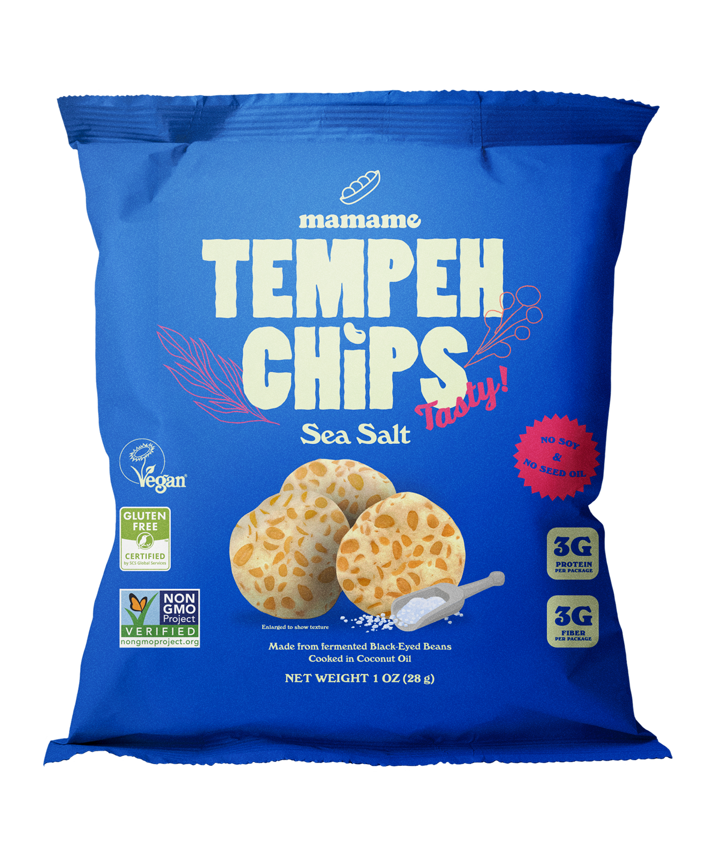 Tempeh Chips